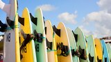 Surfboards, Satchels