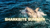 Sharkbite Summer