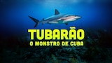 Tubarão: O Monstro de Cuba