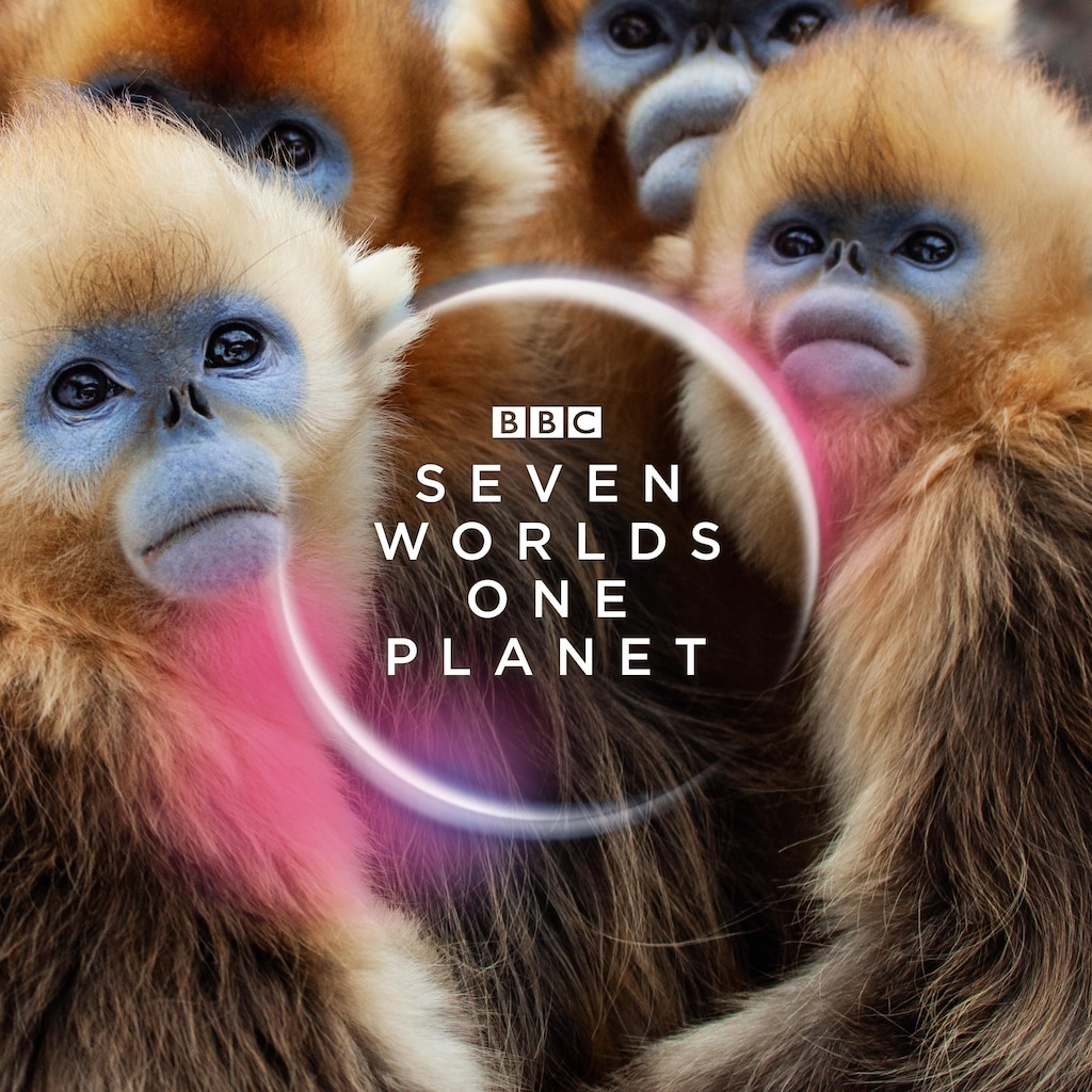 Seven Worlds, One Planet