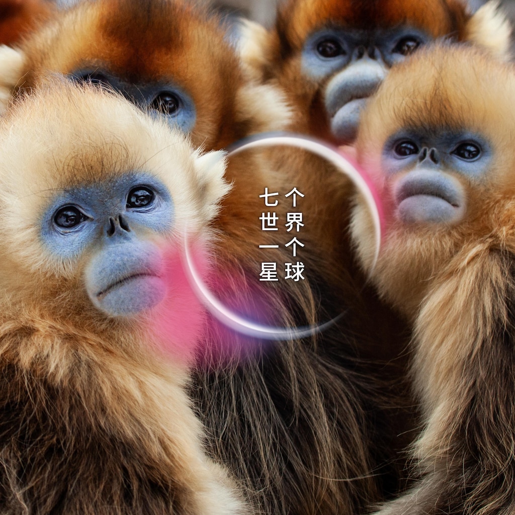 七个世界,一个星球