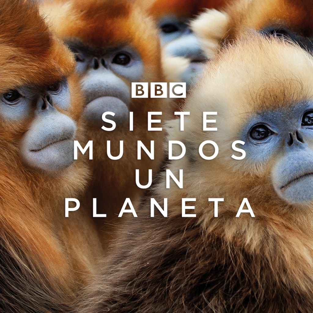 Siete mundos, un planeta