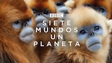 Siete mundos, un planeta