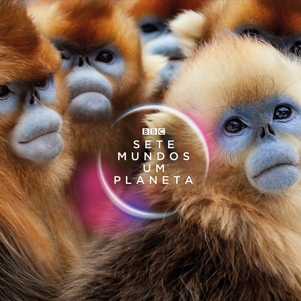 Sete Mundos, Um Planeta