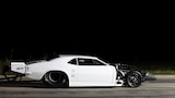 It's a Promod Party