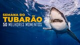 Semana da Tubarão: 50 Melhores Momentos