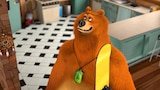 Weightless Bear