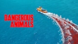 Dangerous Animals