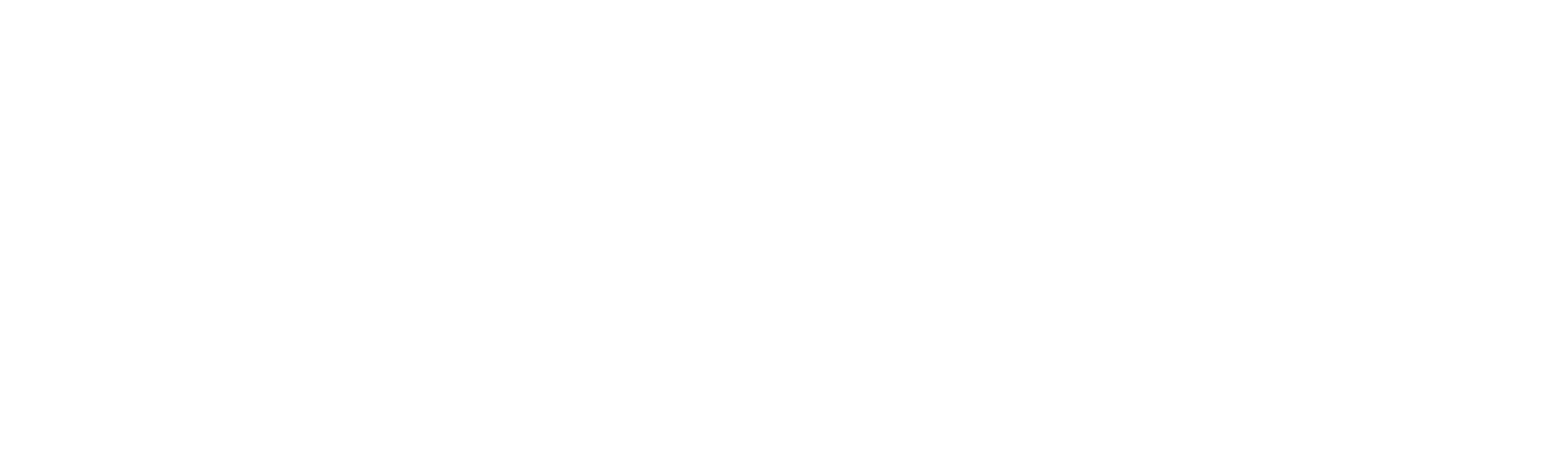 学霸枪手路易吉曼乔尼