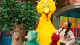 Big Bird's Big Solo