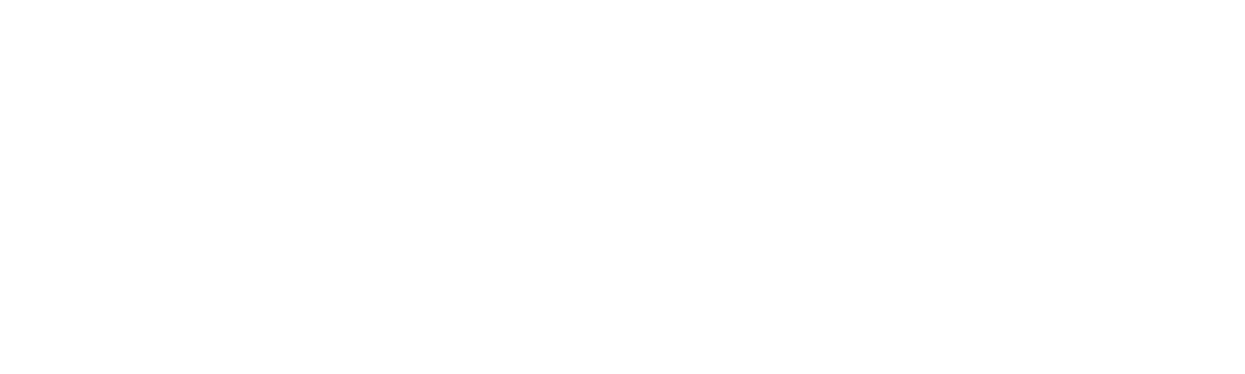 Crimes e Mentiras: O Assassinato de Gabby Petito