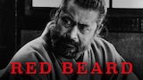 Red Beard