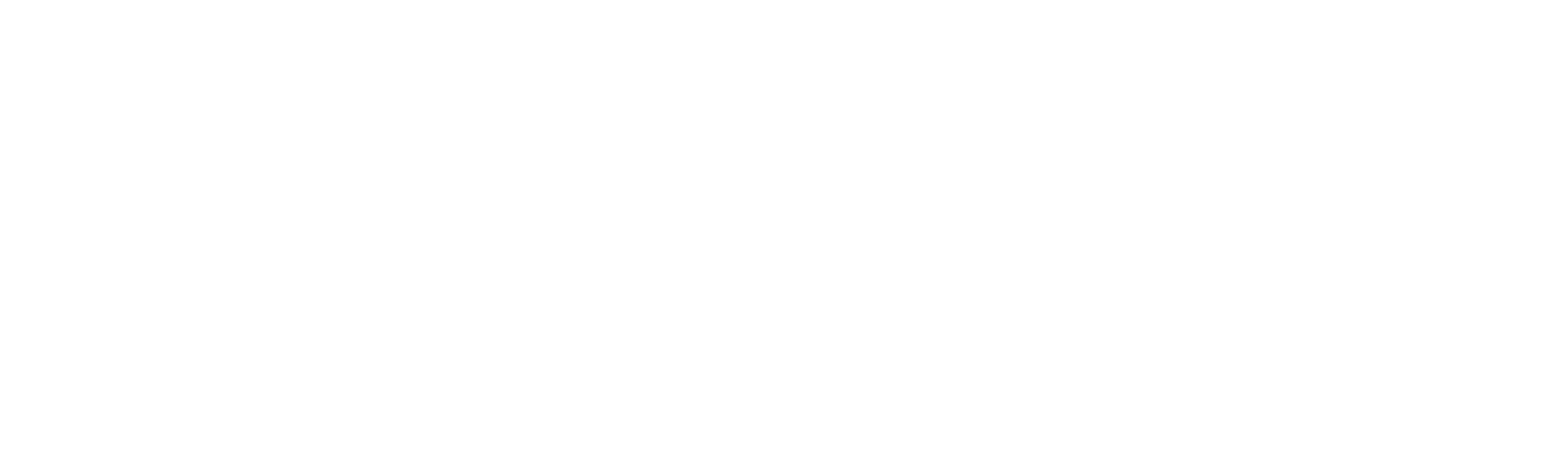 Masacre en Nueva York