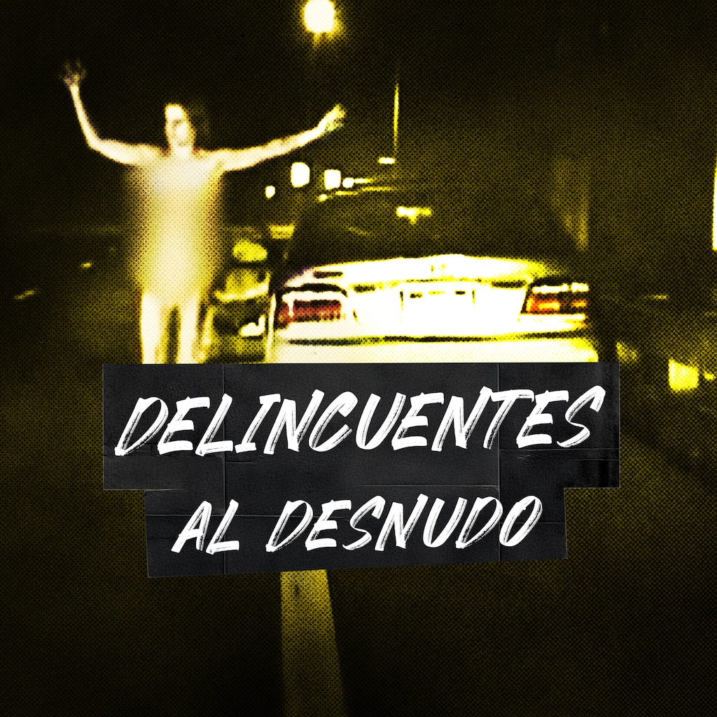 Delincuentes al desnudo