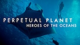 Perpetual Planet: Heroes of the Oceans