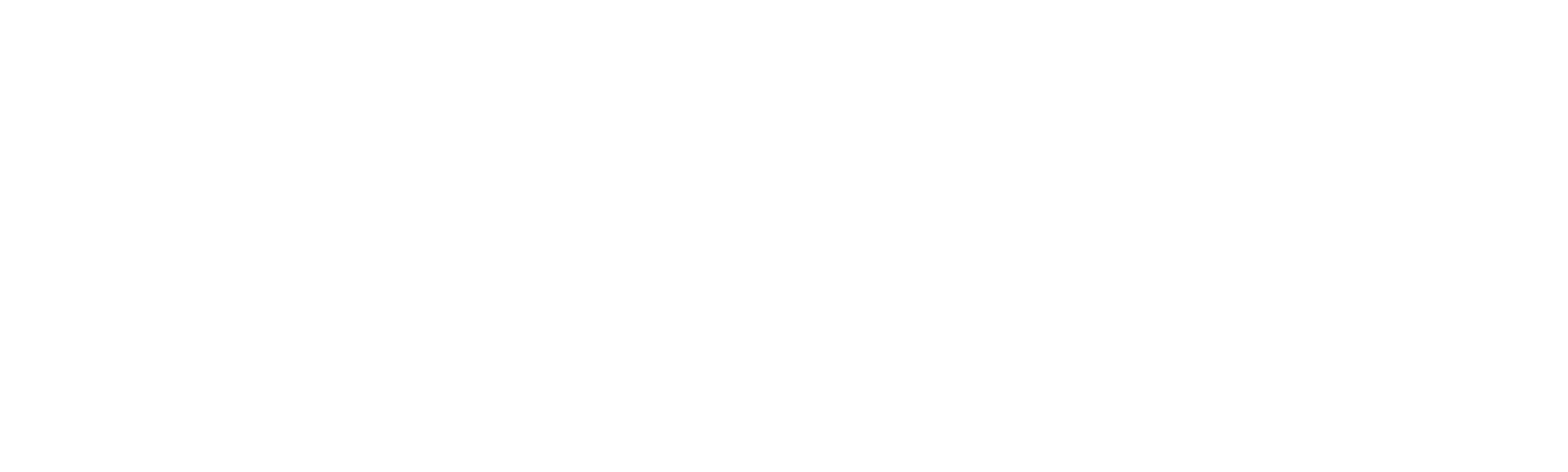 Perilous Passage: Birth in America