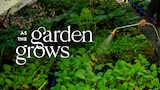As the Garden Grows