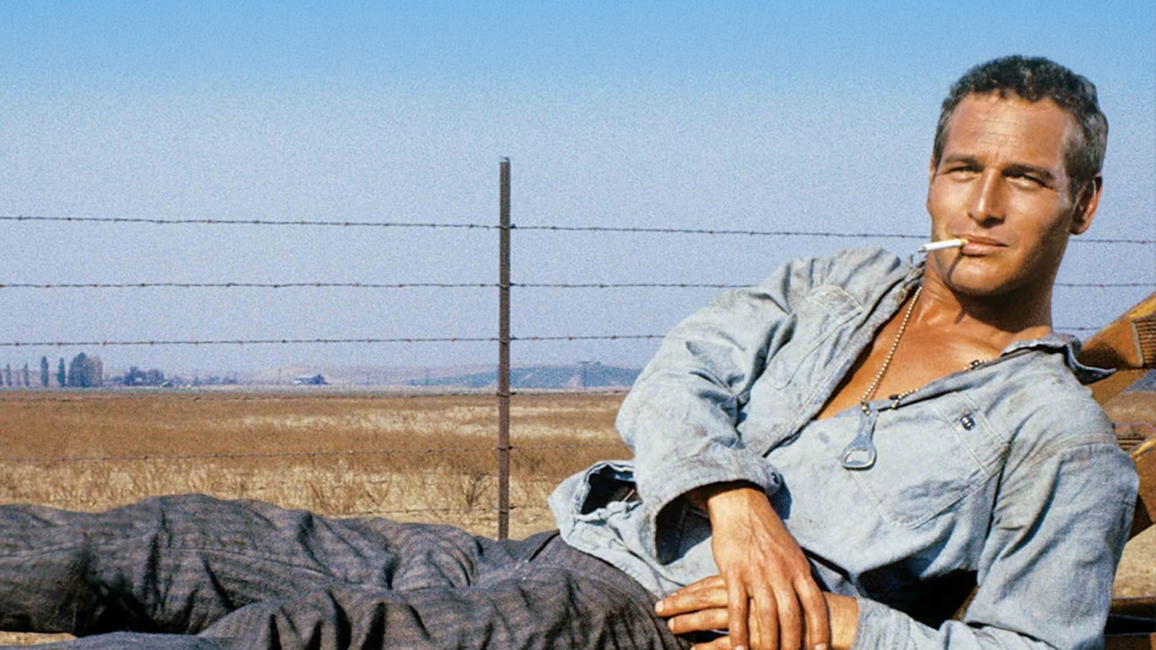 Watch Cool Hand Luke | HBO Max