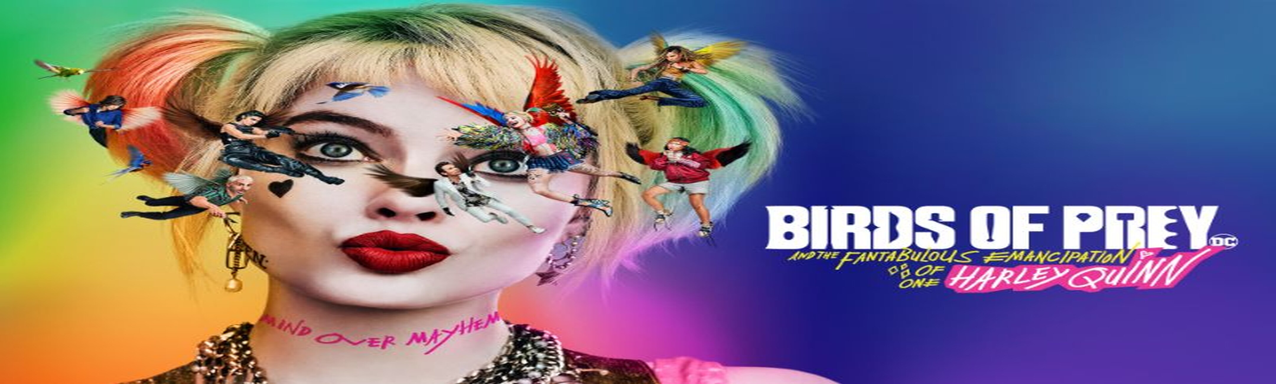 Birds of Prey (and the Fantabulous Emancipation of One Harley Quinn)