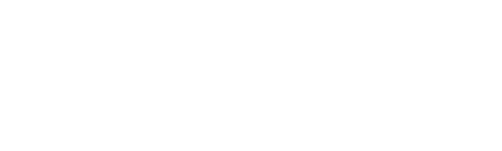 Universal Basic Guys