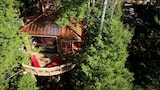 The Coolest Treehouse Ever Built