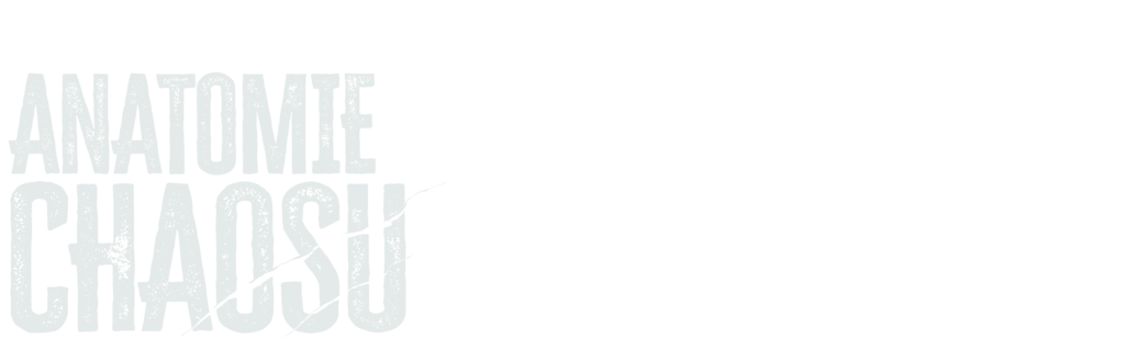Anatomie chaosu