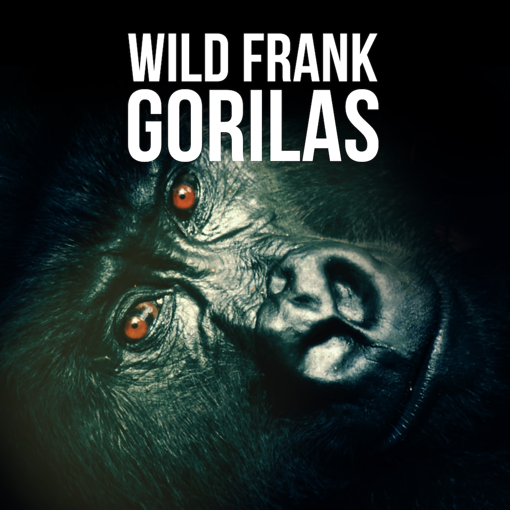 Wild Frank Gorilas