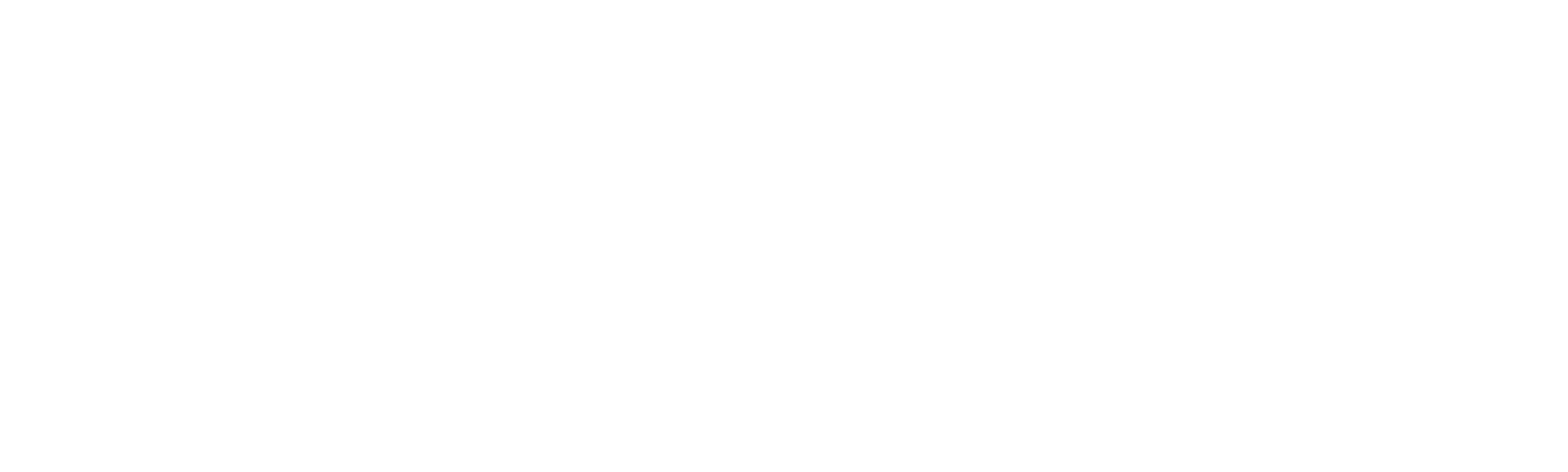 The World According to Ion B.