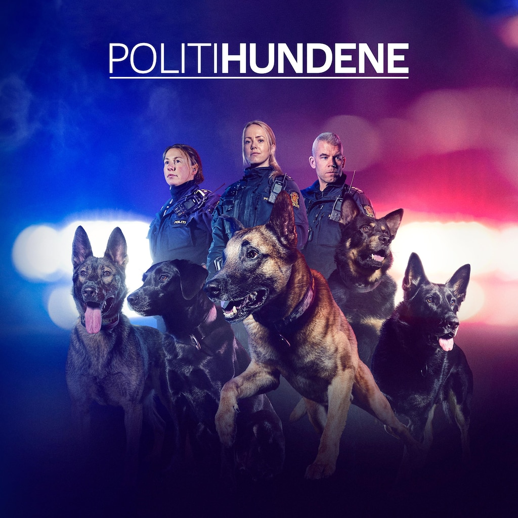 Politihundene - Norge