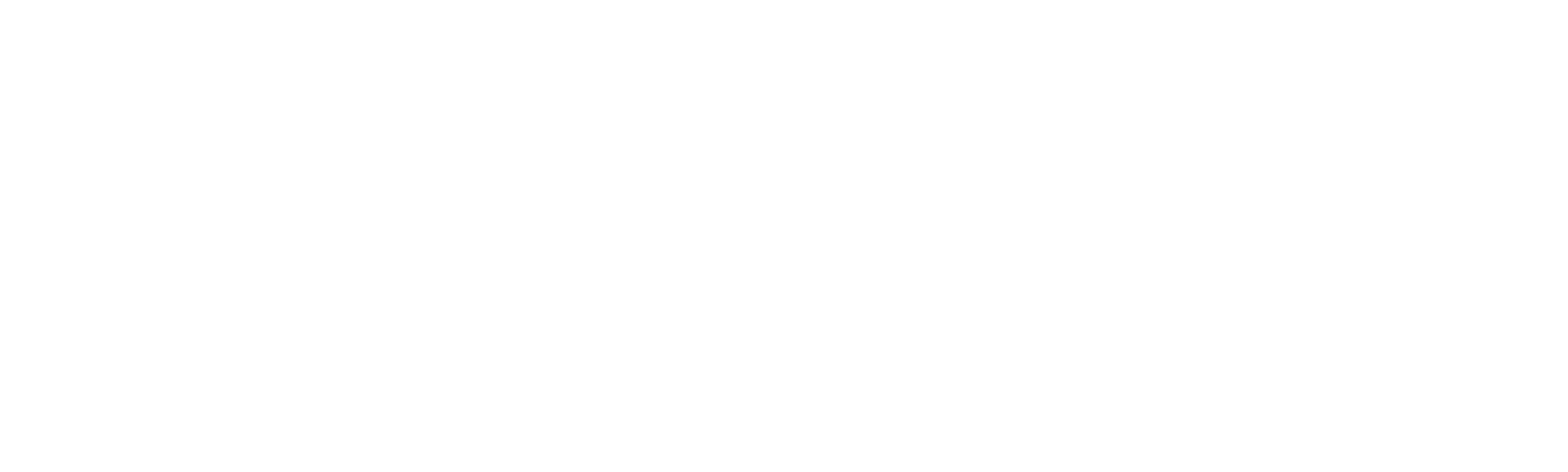 90 Day Journey: Elizabeth & Andrei