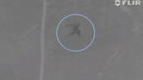 Best Evidence Yet