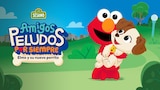 Amigos peludos para siempre