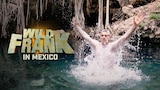 Wild Frank in Mexico
