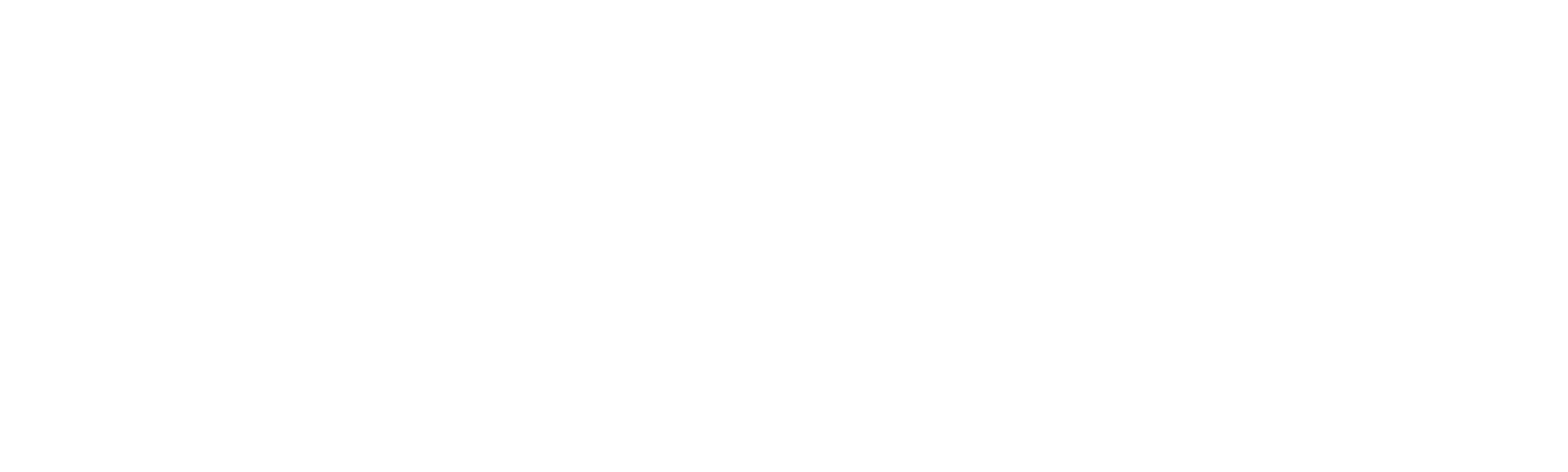 Winter, O Golfinho 2