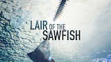 Lair of the Sawfish