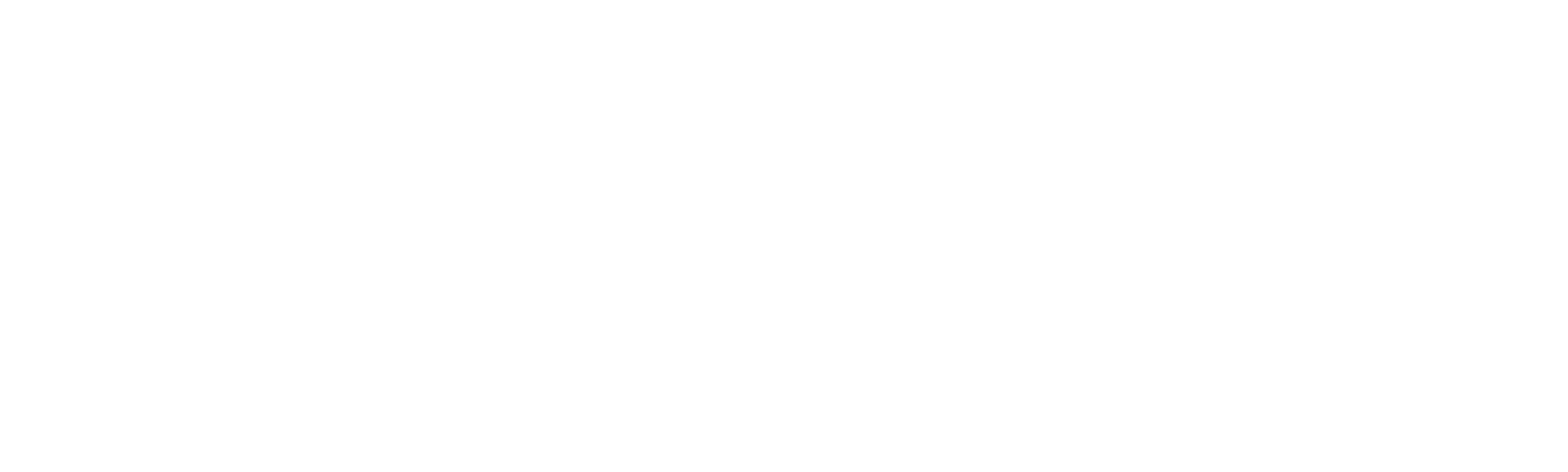 The Killer