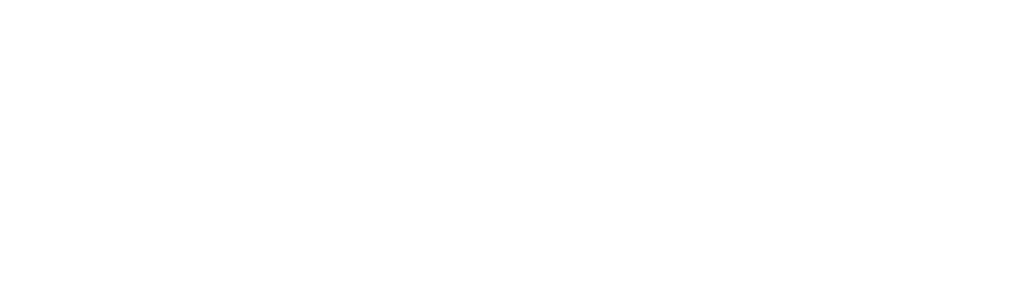 野地刺客