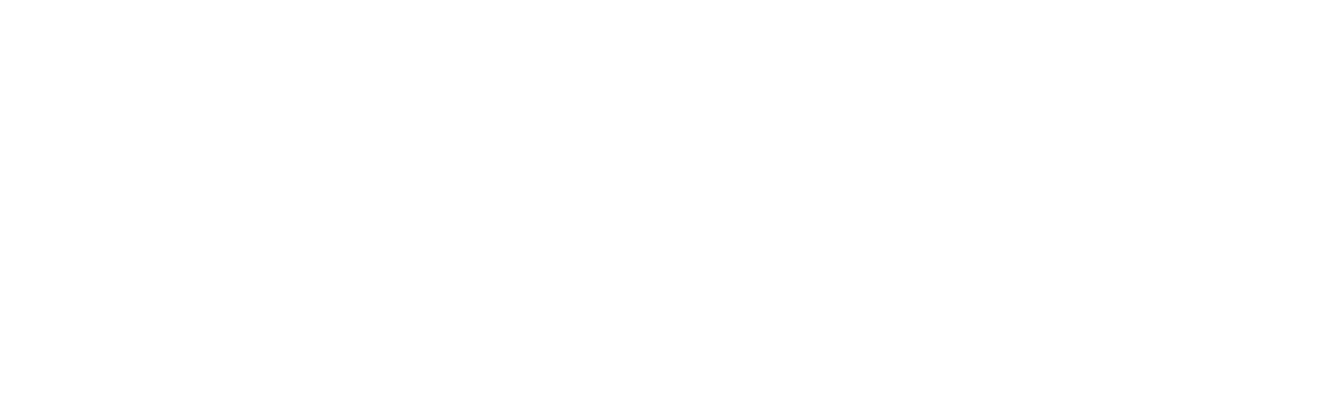 野地刺客