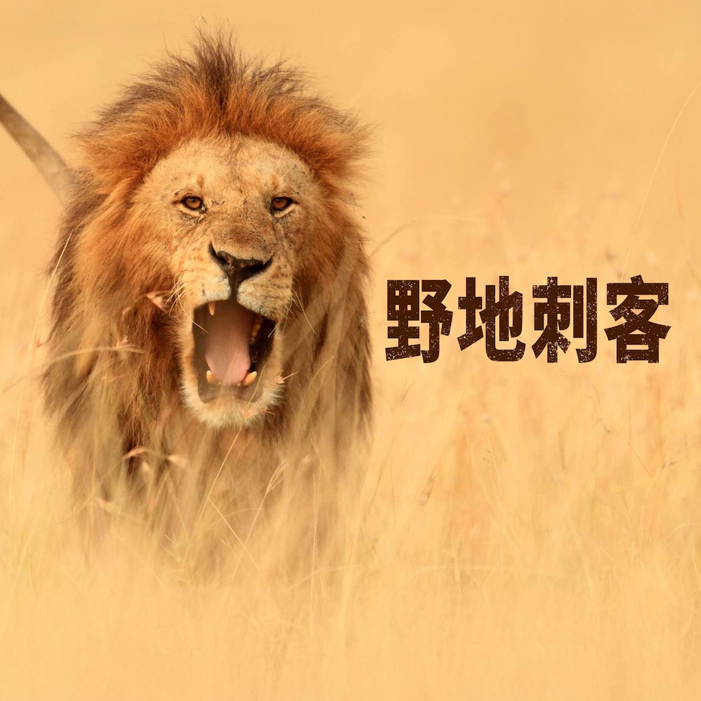 野地刺客