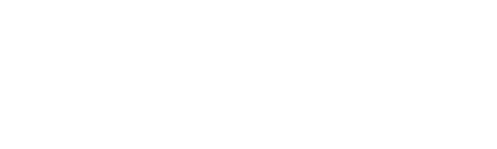 Wild Assassins