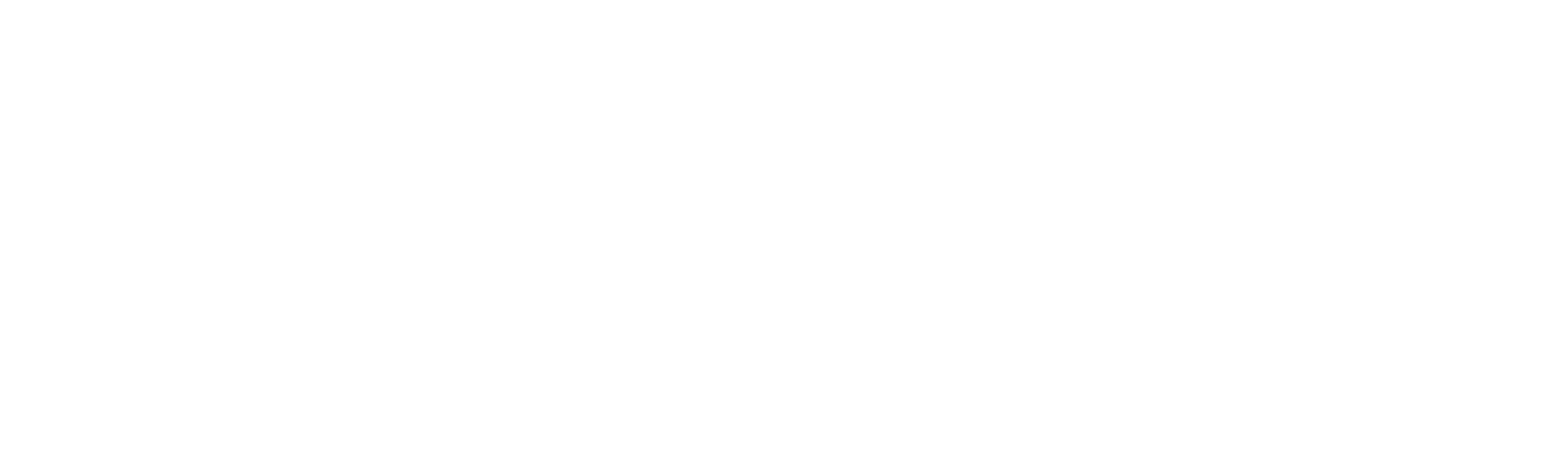 Wild Assassins