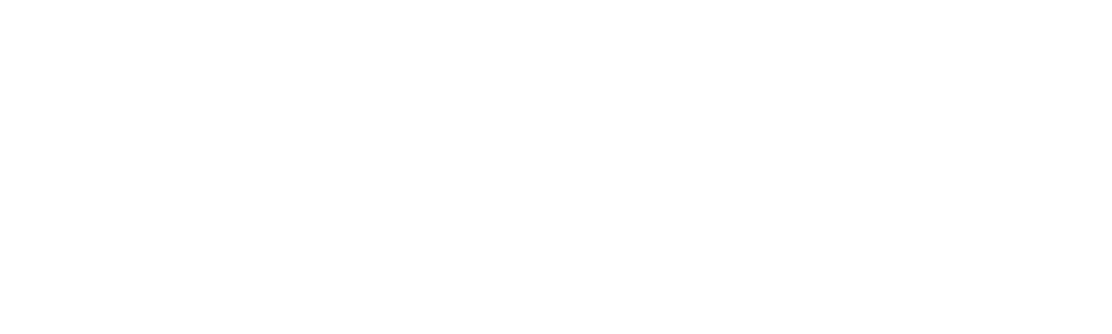 One Perfect Shot