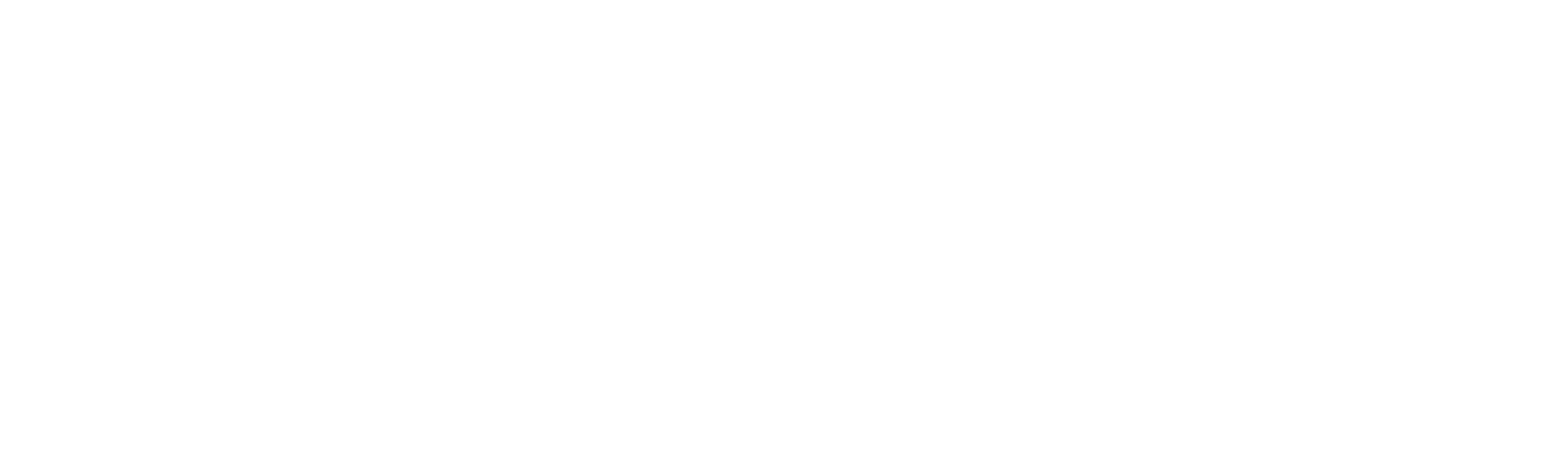 One Perfect Shot