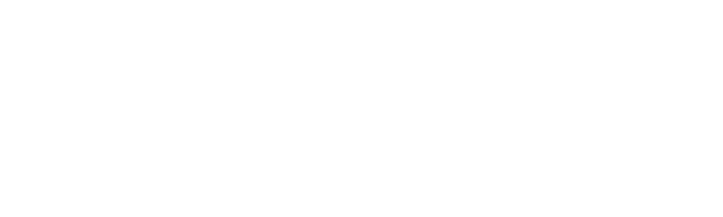 The Elon Musk Show