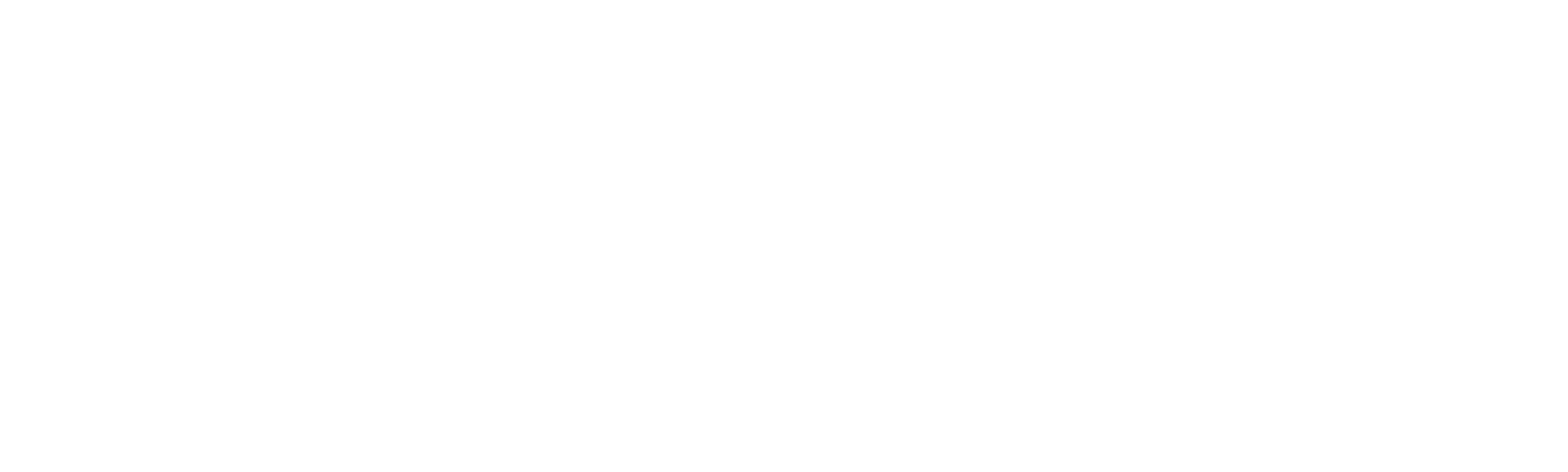The Elon Musk Show