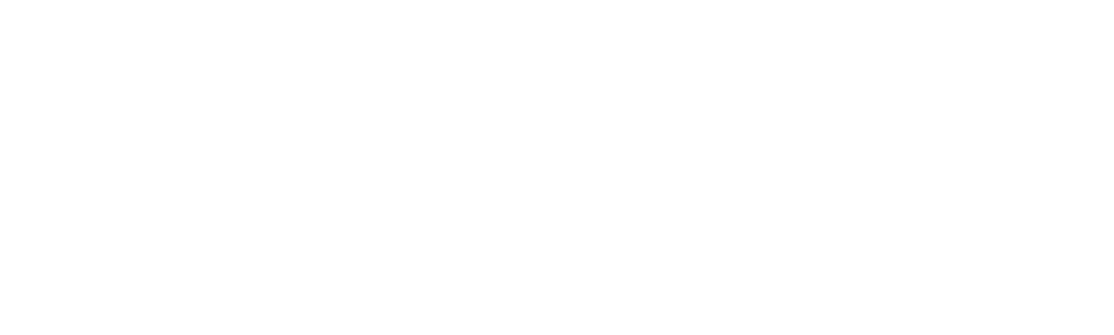 Border Control: Spain