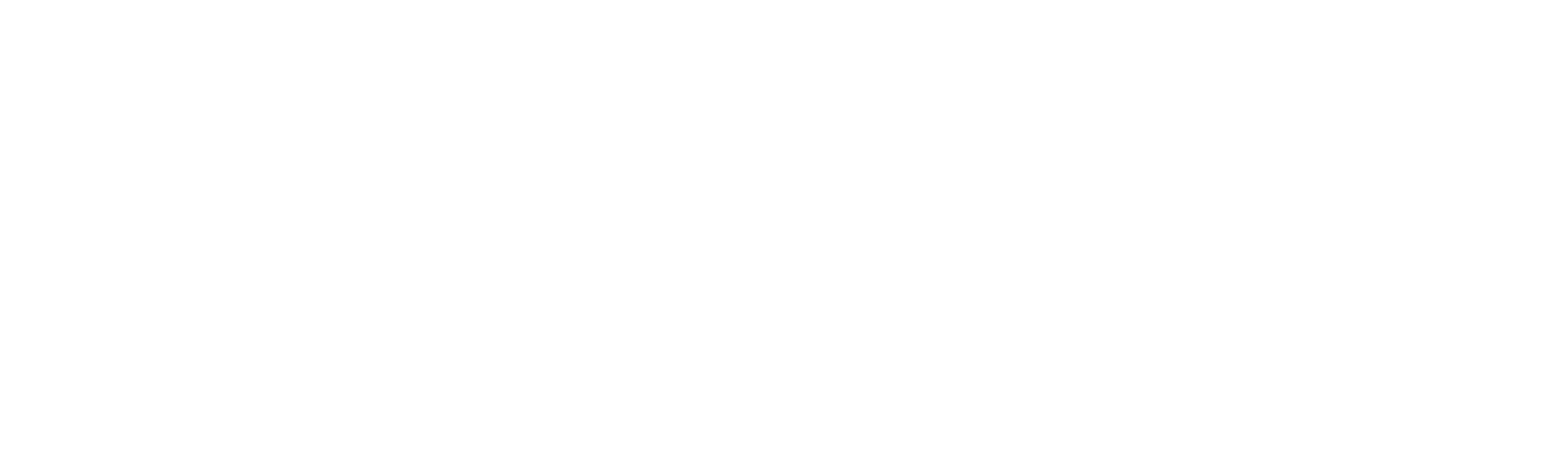 Border Control: Spain