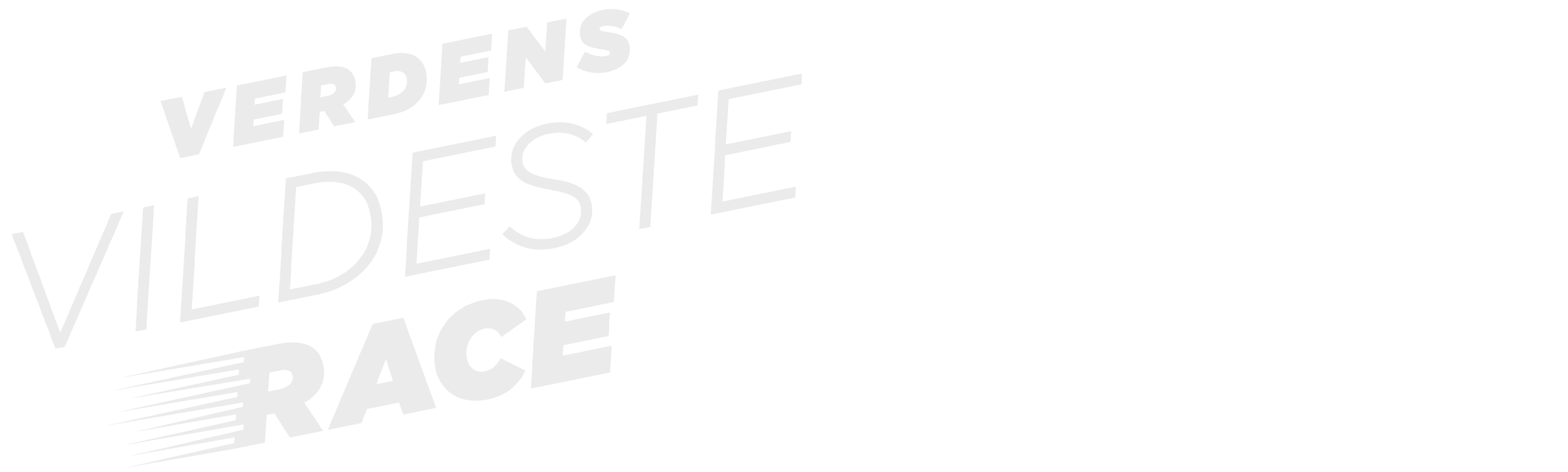 Verdens Vildeste Race