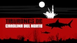 Tiburones de Carolina del Norte