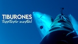 Tiburones: territorio mortal